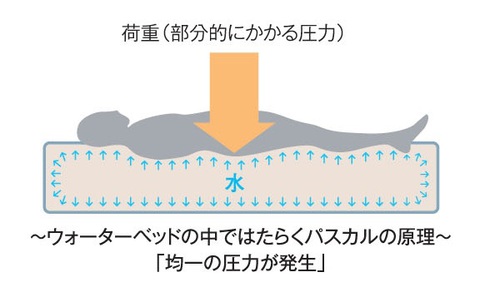 water03_04ol.jpgのサムネイル画像